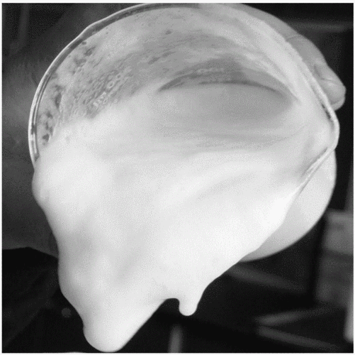 徳謙消泡劑應(yīng)用場(chǎng)景